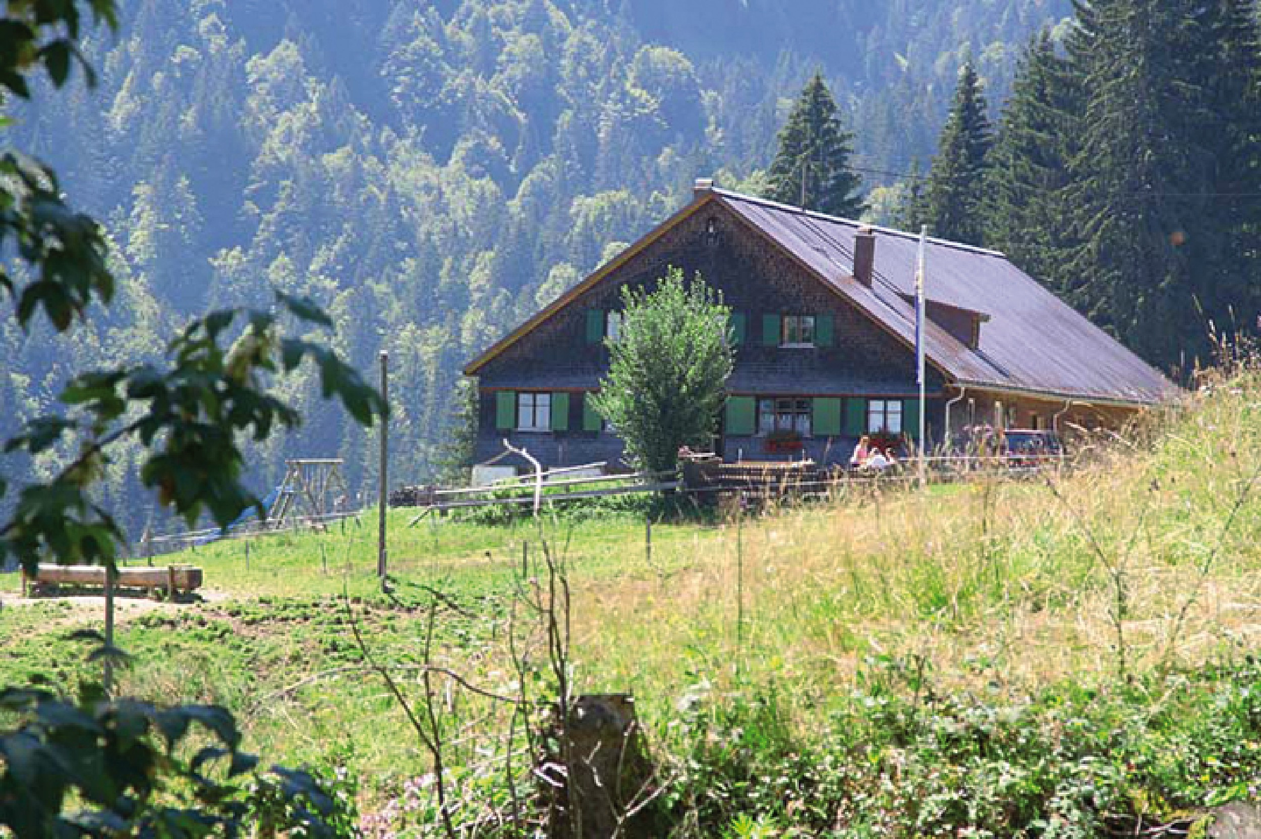 Alpe Remmelegg 1.jpg Alpe Remmelegg 1.jpg