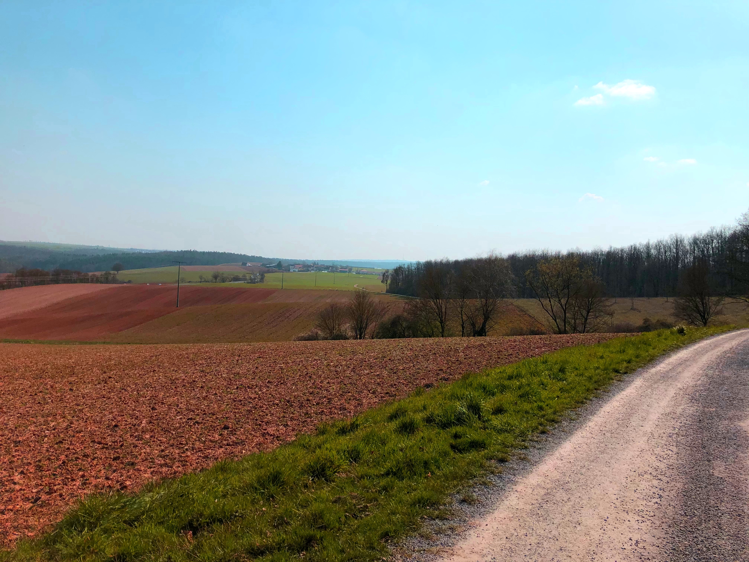 Gadheimer Wald.jpg Gadheimer Wald.jpg