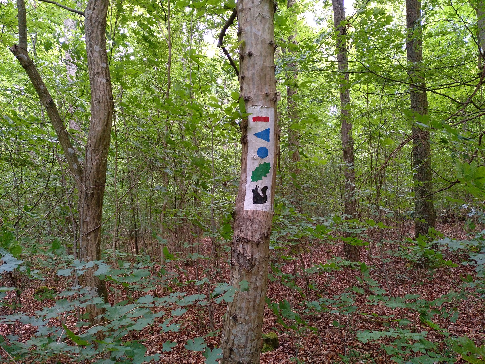 Wanderweg Roter Strich Veitshöchheim.jpg Wanderweg Roter Strich Veitshöchheim.jpg