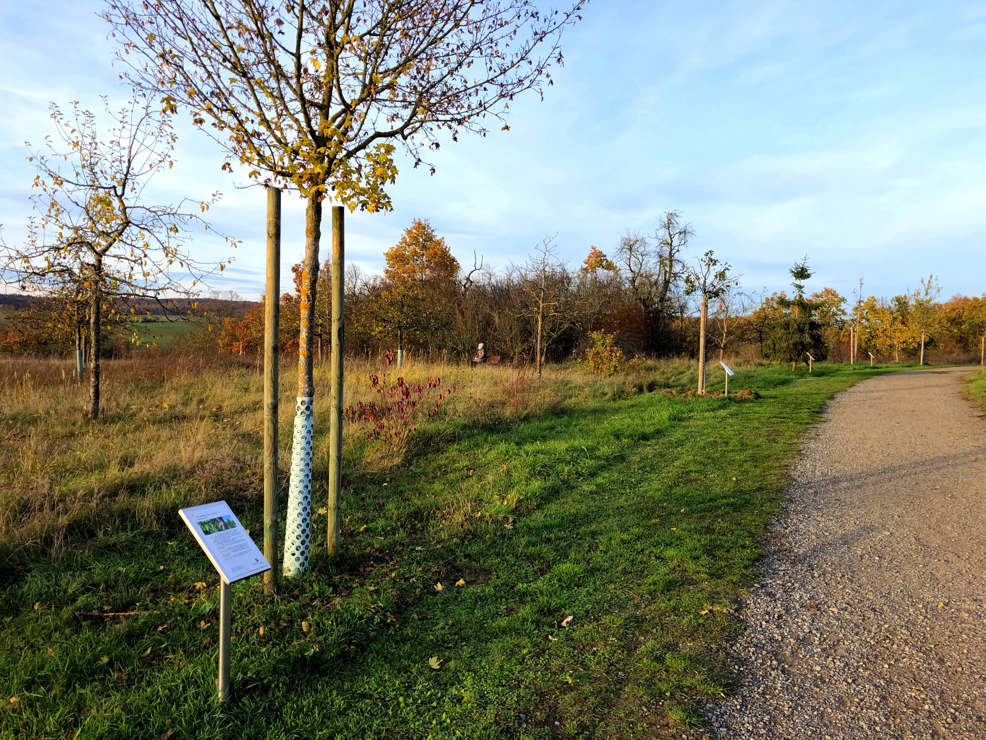 Weg der Jahresbäume in Veitshöchheim Weg der Jahresbäume in Veitshöchheim