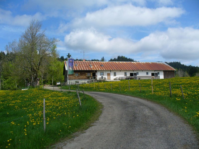 sennalpe-thalhofer-berg.jpg sennalpe-thalhofer-berg.jpg