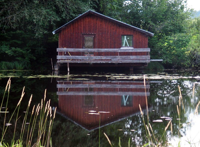 widdumer-weiher.jpg widdumer-weiher.jpg