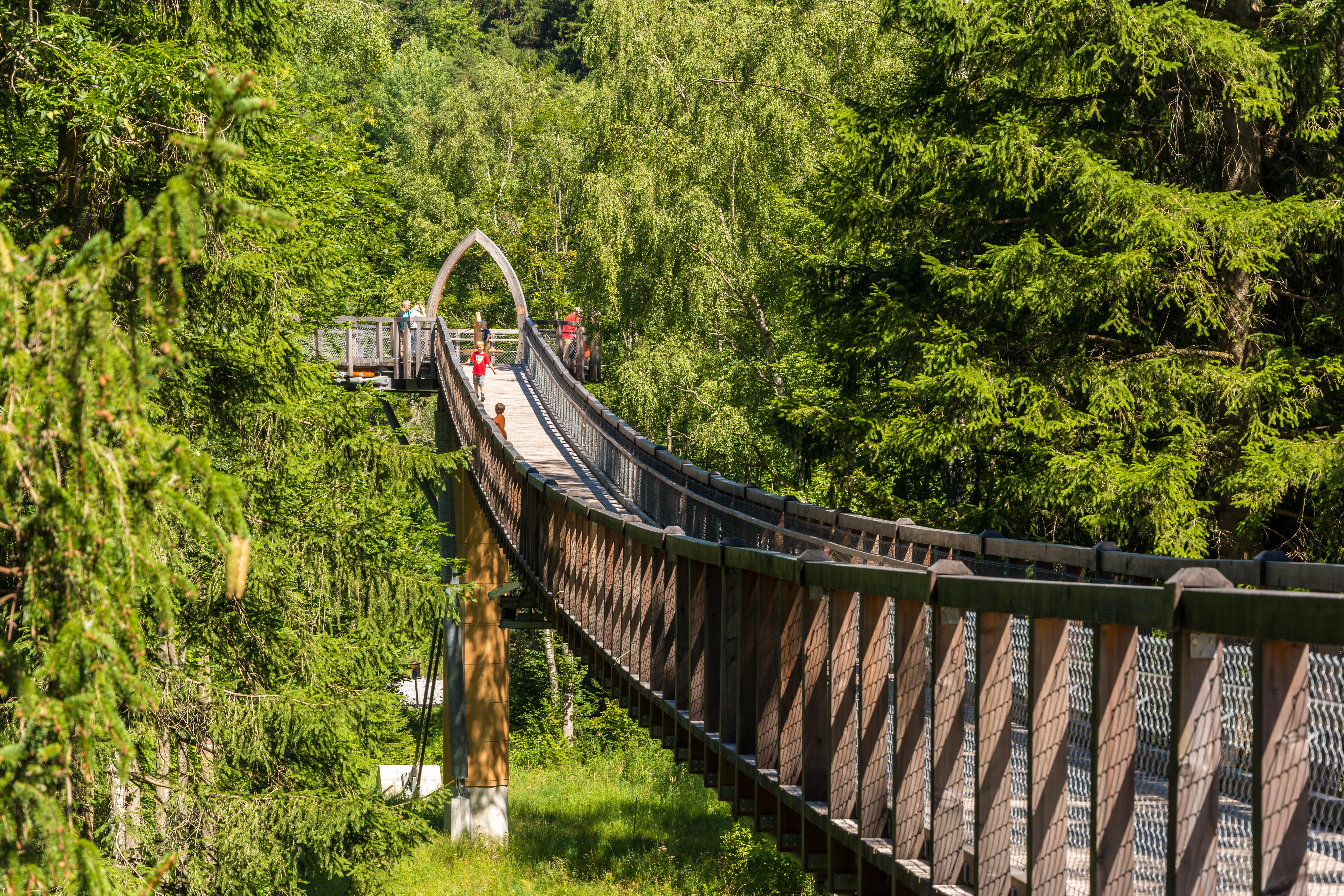 Baumkronenweg_1-3627.jpg Baumkronenweg_1-3627.jpg