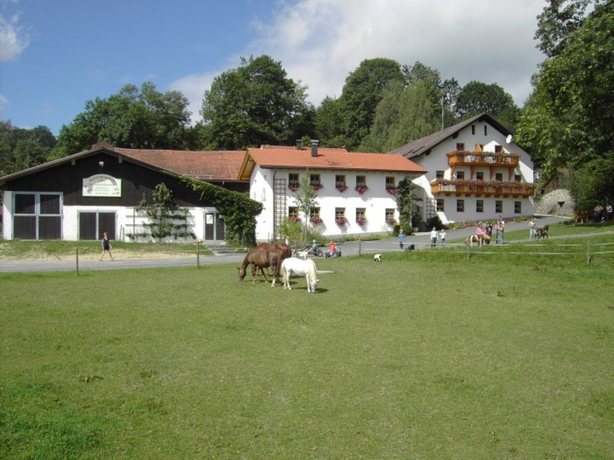 Kinderparadies Höcker Kinderparadies Höcker