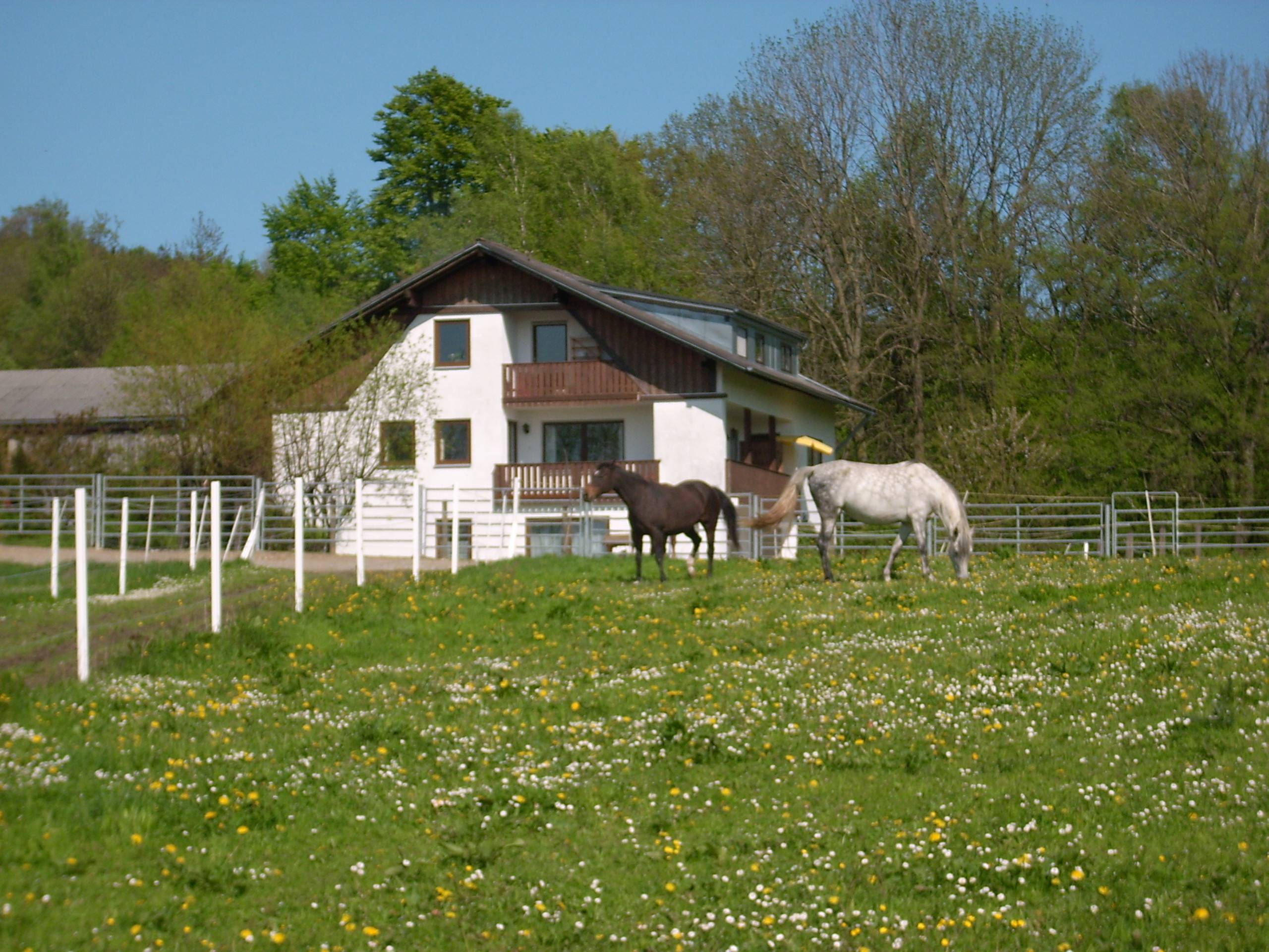 Niederbayeralm Niederbayeralm