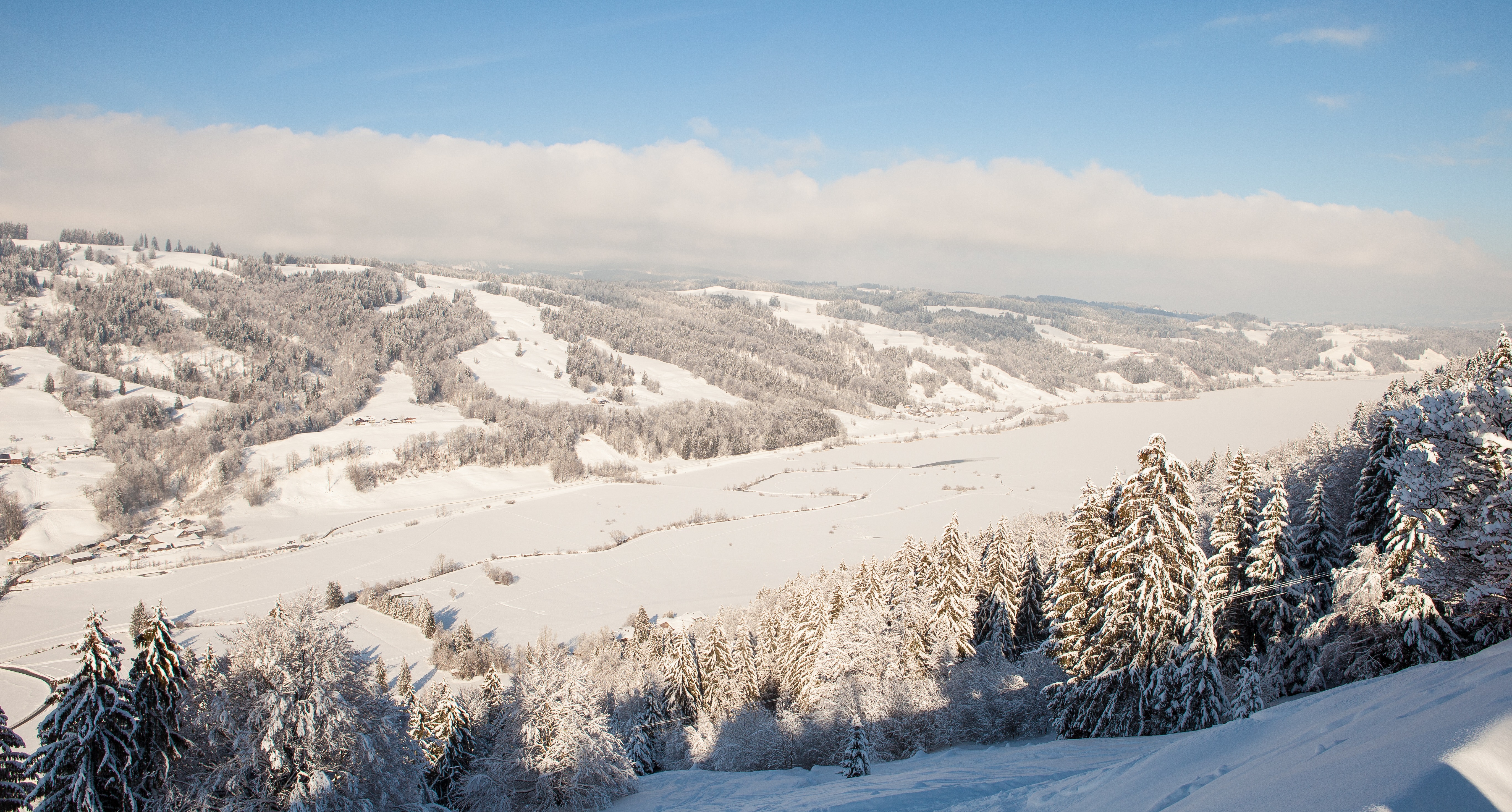 Alpsee_Bergwelt_der_Blick_auf_den_Alpsee.jpg