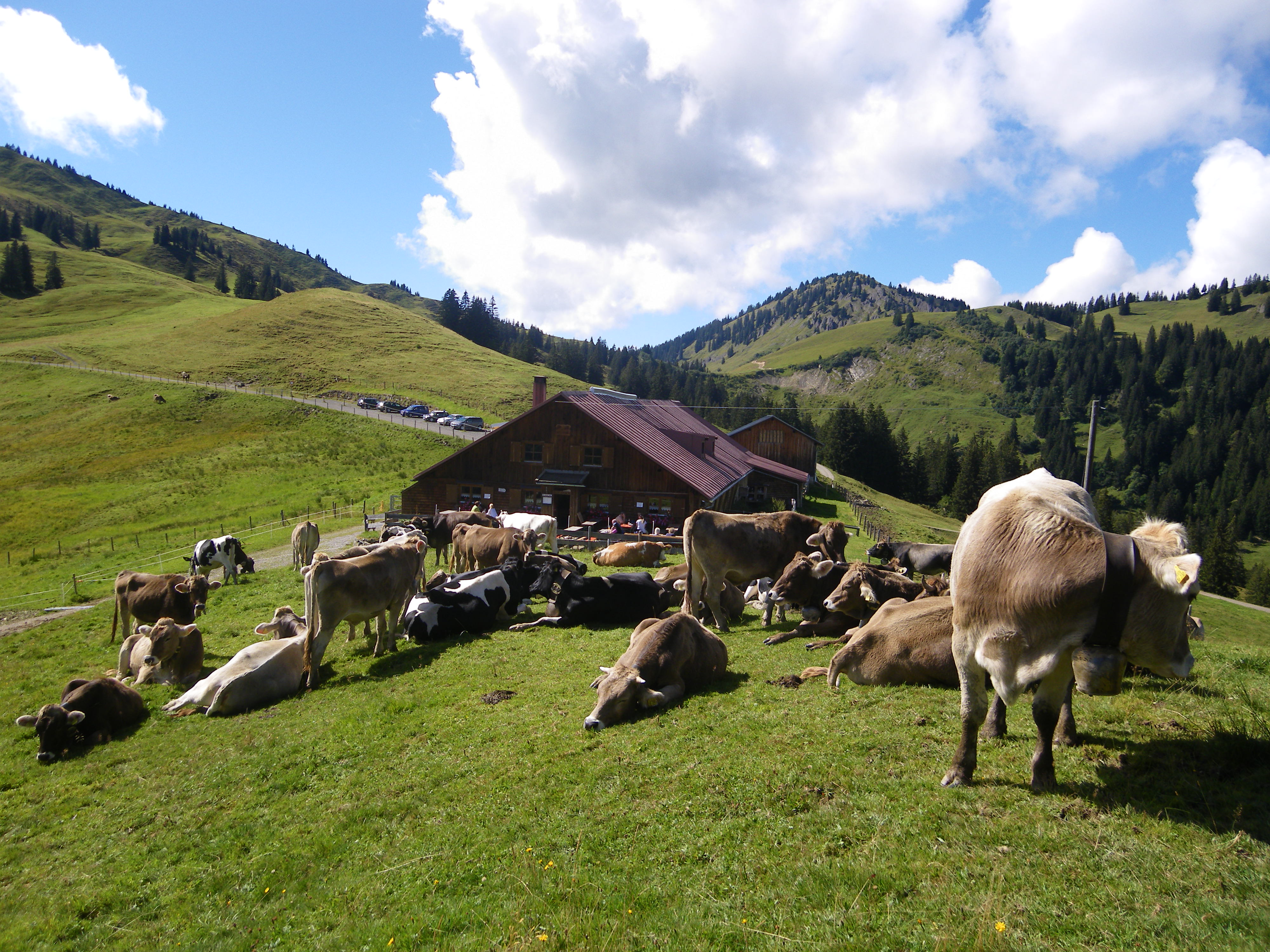 Alpe Höllritzen - Copyright Touristinfo Blaichach.JPG