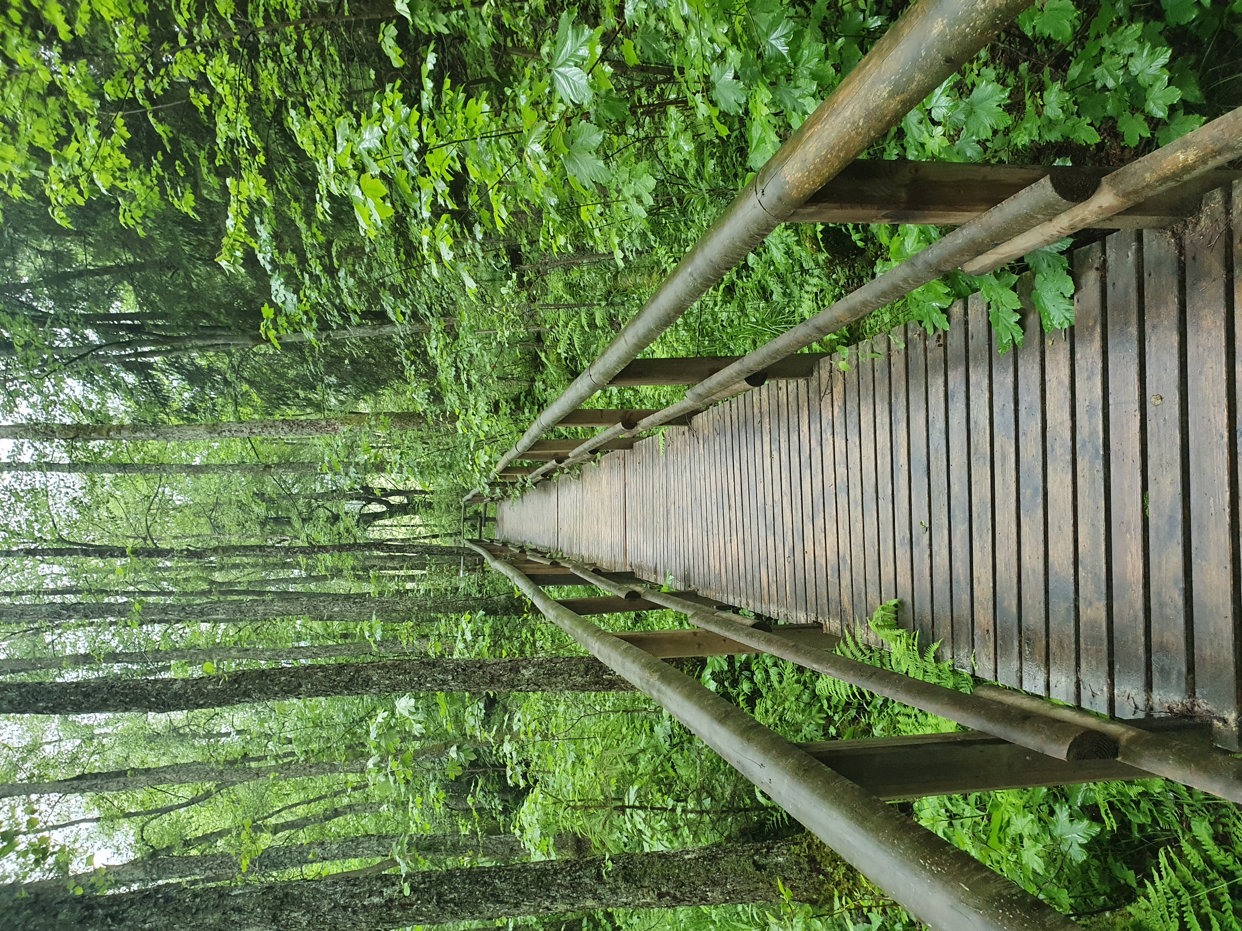 Renautalbrückenpfad_Linda Brieden.jpg