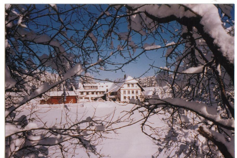 S_Fleckli_im_Schnee.jpg S_Fleckli_im_Schnee.jpg