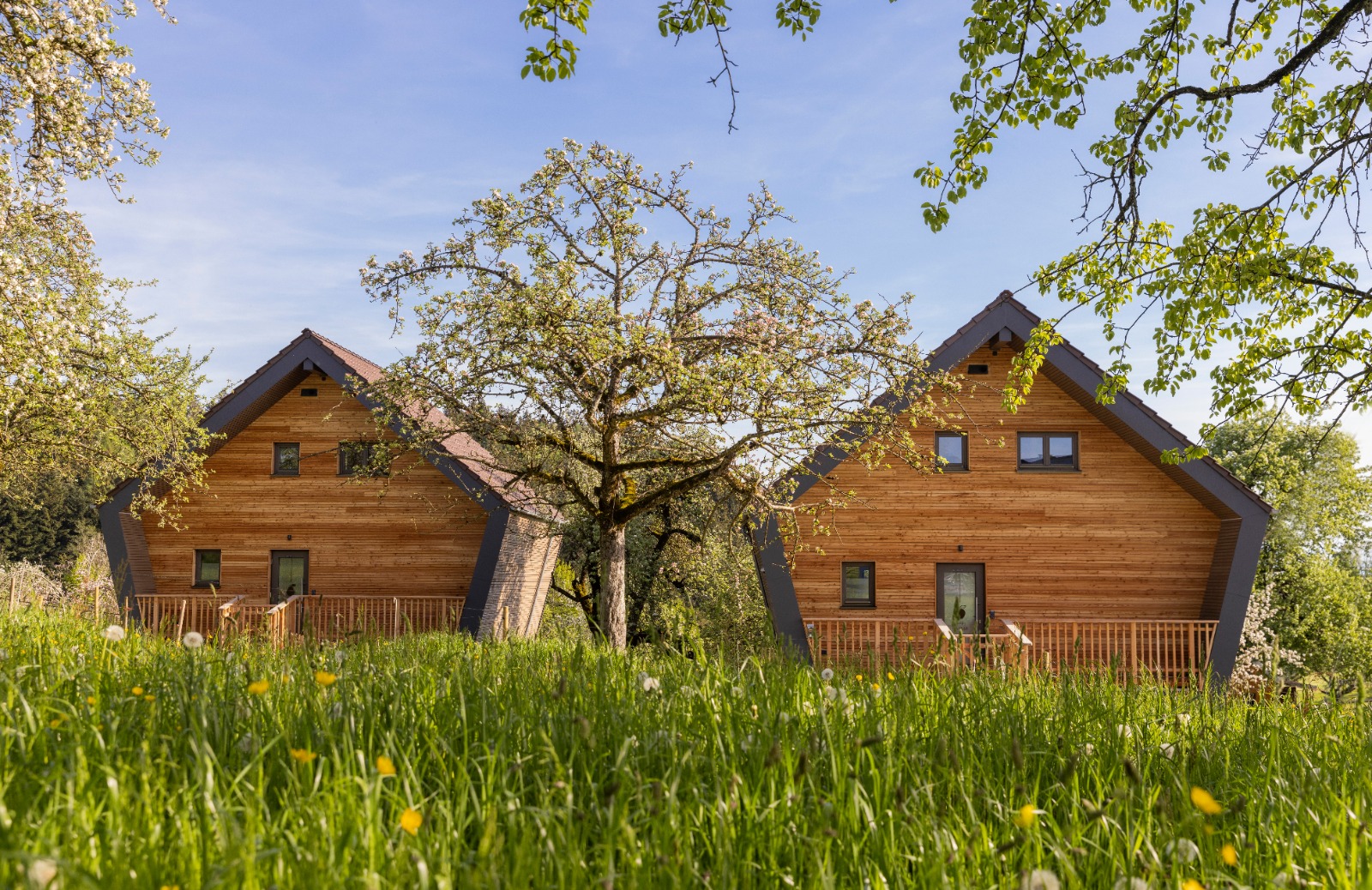 Streuobst_Chalets_beide_Eingang.jpeg Streuobst_Chalets_beide_Eingang.jpeg
