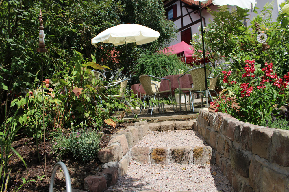 Erlebnisbauernhof Schappacher_Strausse.jpg Erlebnisbauernhof Schappacher_Strausse.jpg